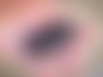 ☆譲渡済☆【24本店ストック成虫No.44】GX50-yyii8.1F➁