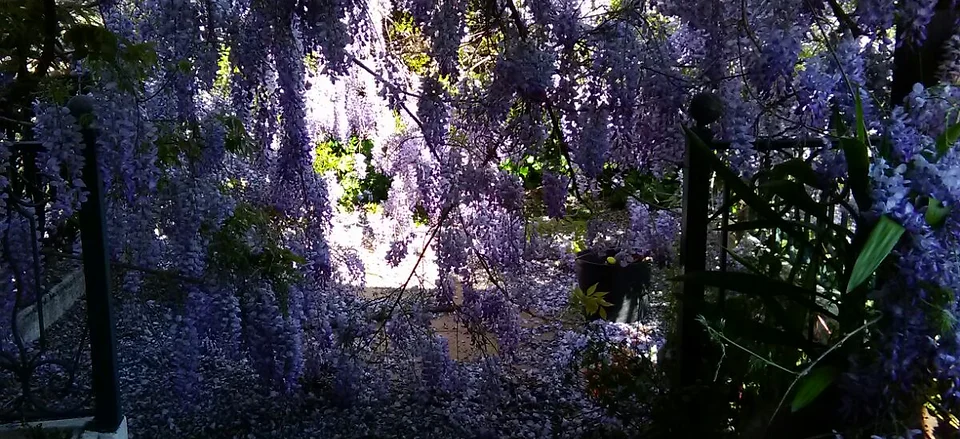 Mondego River House Penacova Coimbra For Rental