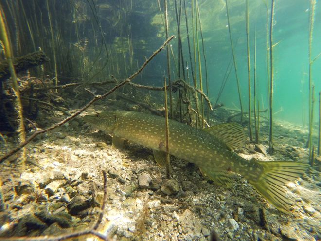 GOPR4960 Kopie Groß.jpeg