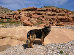 St George UT