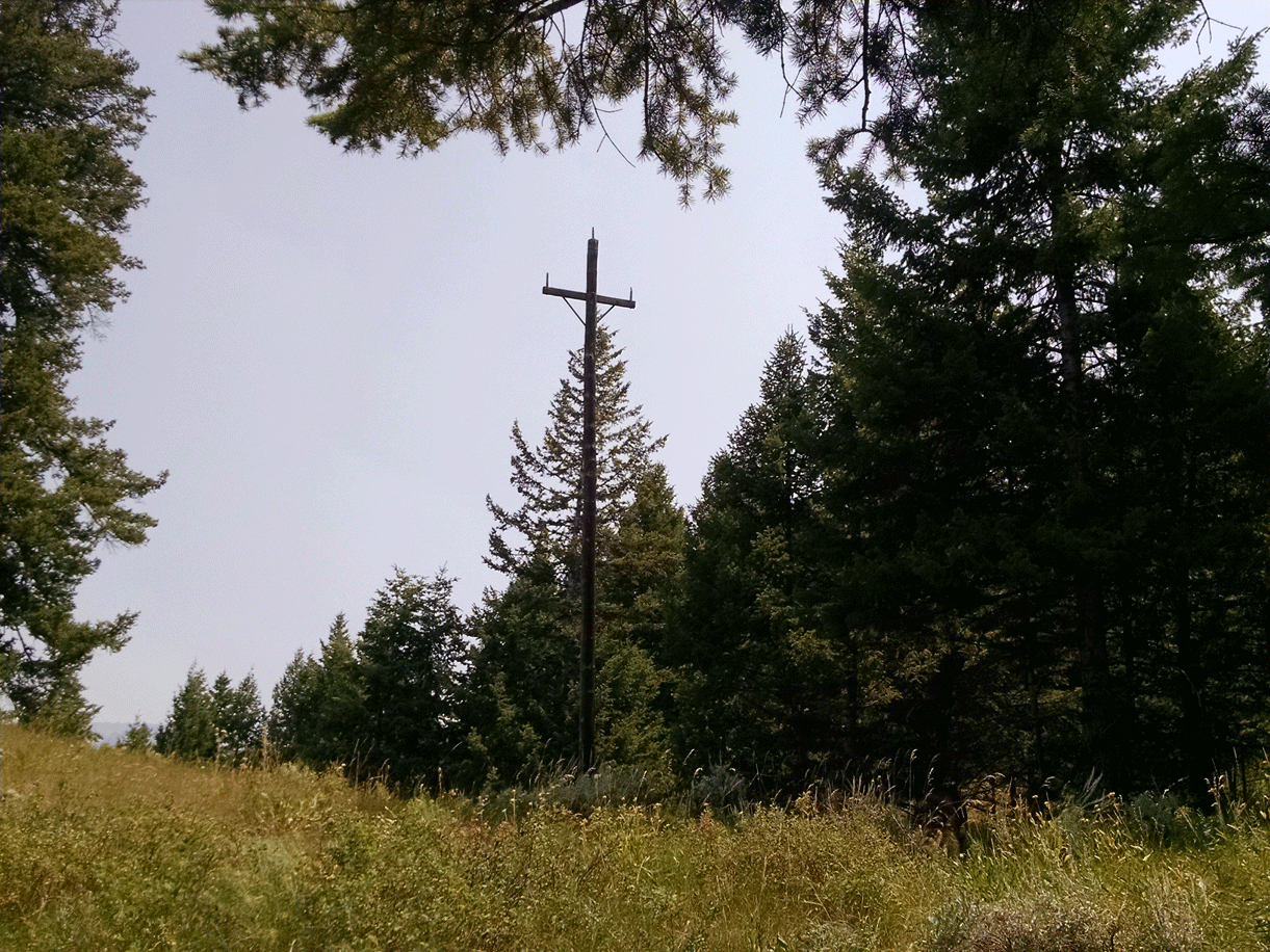 100 years later Marvins-Power Pole still