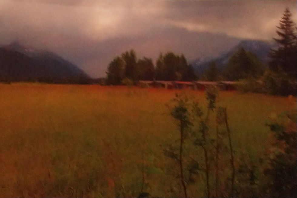 Fields of glory