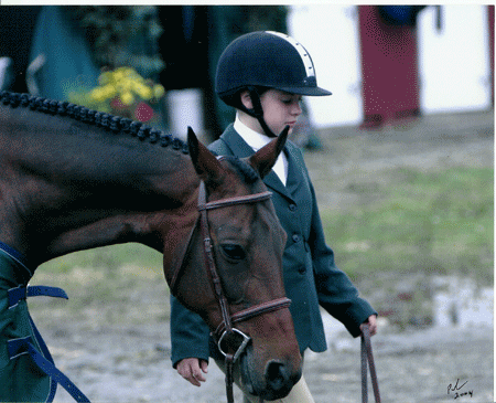 National Medalis Hunter/Jumpers