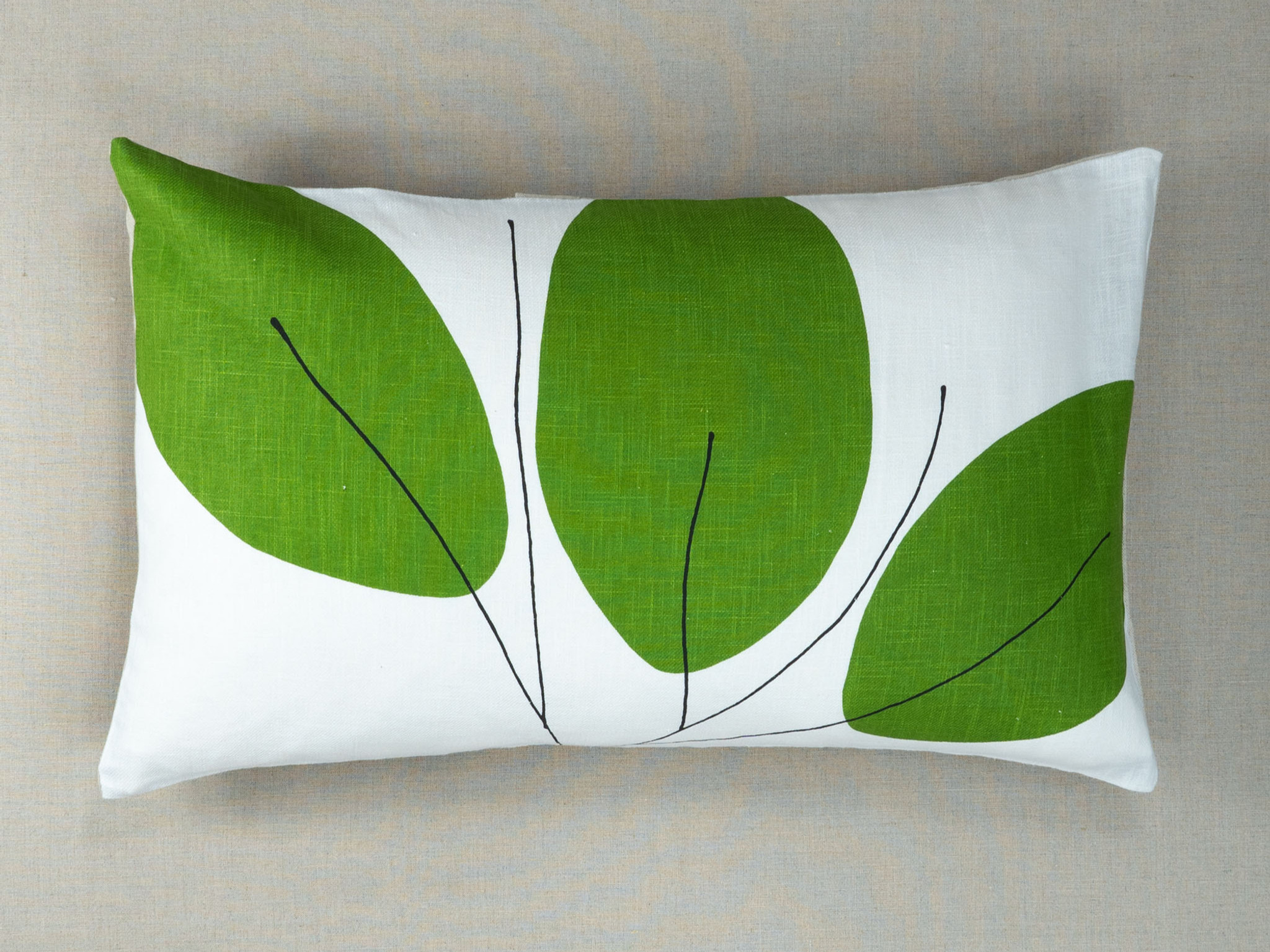 coussin_ÉQUATEUR