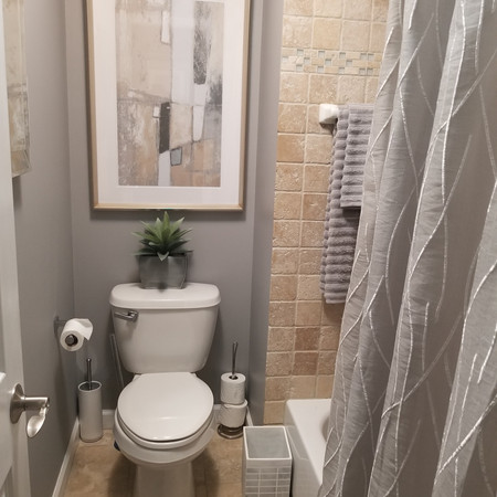 Bathroom Transformation