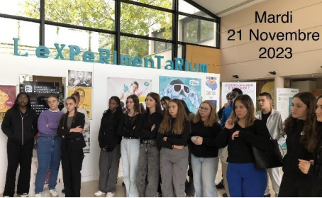 Rencontre avec les chercheurs de l'Experimentarium