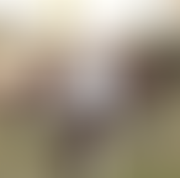 Spot "lutte contre l'isolement", le Bien Public en parle