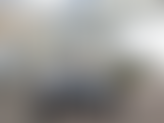 La Brigade verte en action !