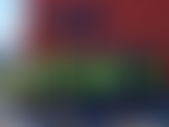 Visite de l'entreprise INFINEO