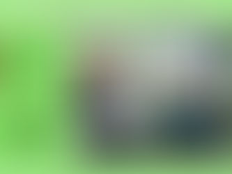 Brigades Vertes en action... 23 janvier 2020