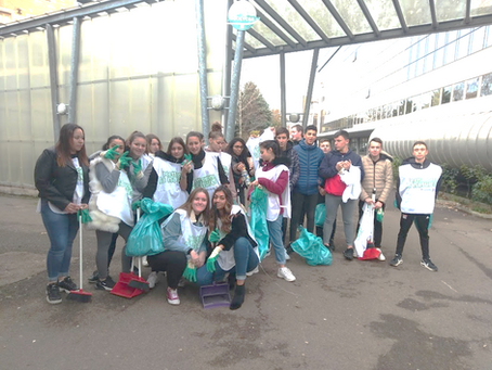 Mission accomplie pour la Brigade Verte