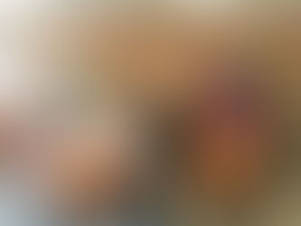 Come and discover the exhibition on India! (Venez découvrir l'exposition sur l'Inde!)