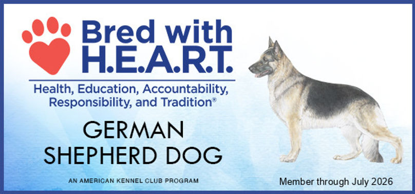 We health test our dogs 