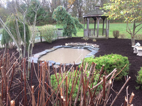 Stone Slab Pond with Planting