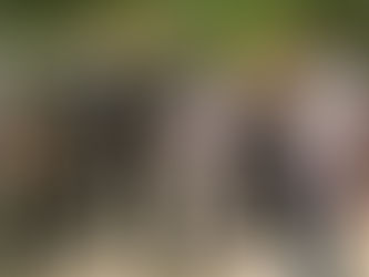 Working with the local police to tackle hate crime.