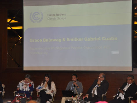Declaración de Juventud Indígena en la Plataforma de Pueblos Indígenas y comunidades Locales-COP28