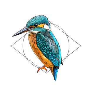 Ilustración naturalista de un martín pescador en rama, arte digital 2024.