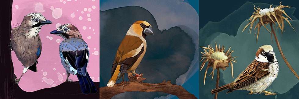 aves encabezado2 (2).jpg