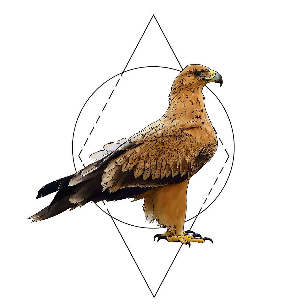 Águila imperial ibérica