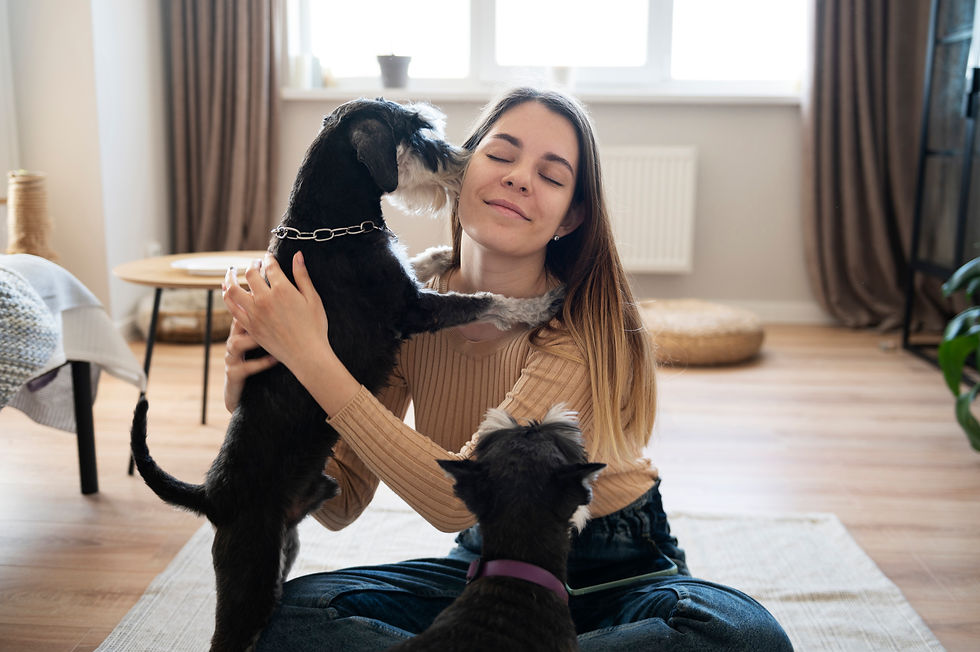 Dog Sitting