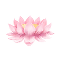 Untitled design (10).png