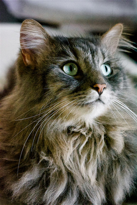 DSC_0051.jpg