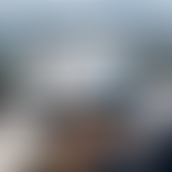 Google's May 2026 Core Update: What New Zealand Businesses Must Do Now