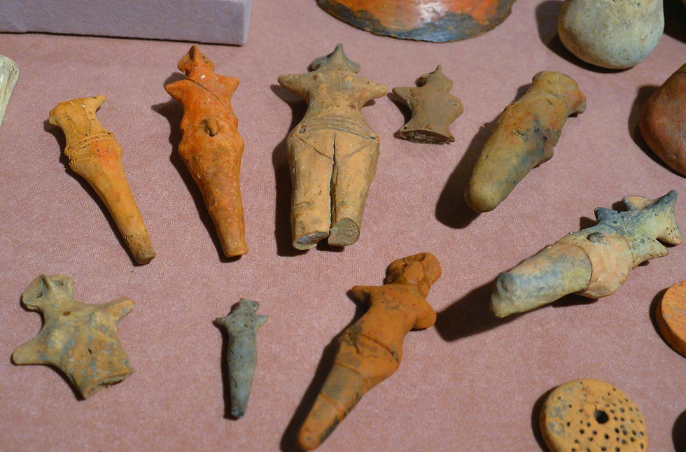 An assortment of figurines found at Veterba Cave in Ukraine. Some have added genitals or breasts, while some do not.