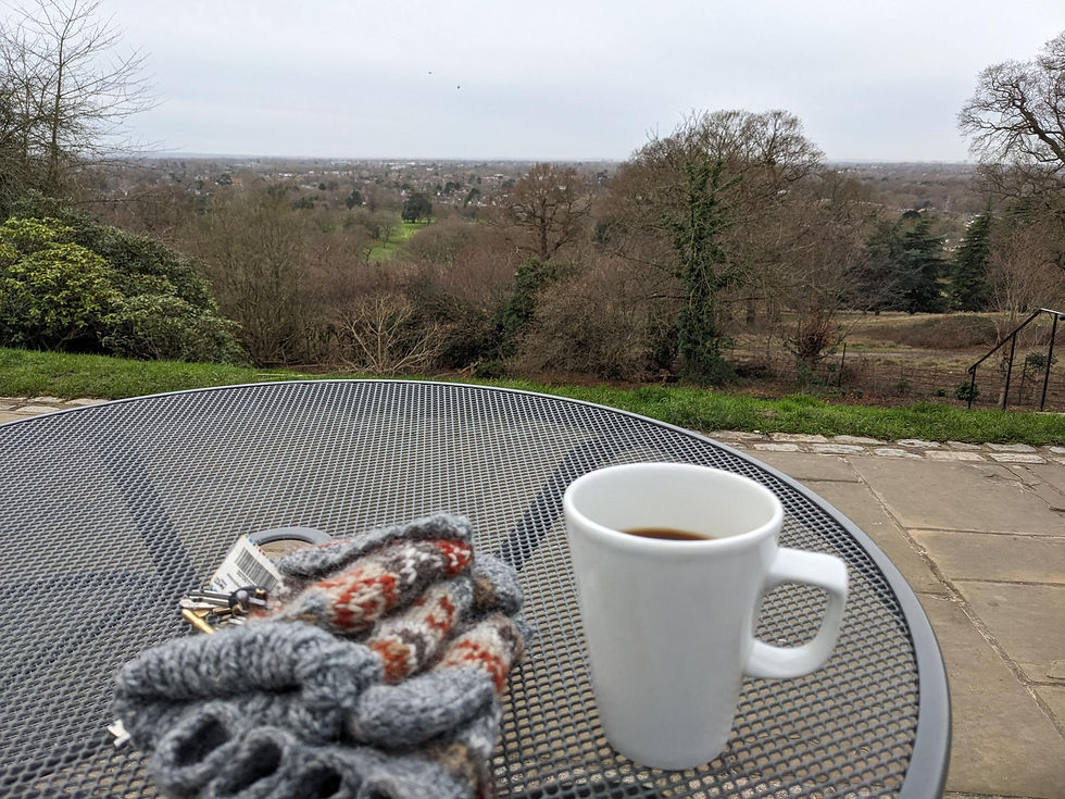 Cafe view from Pembroke Lodge cafe