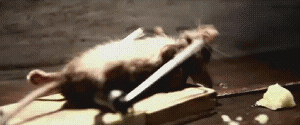 R.gif