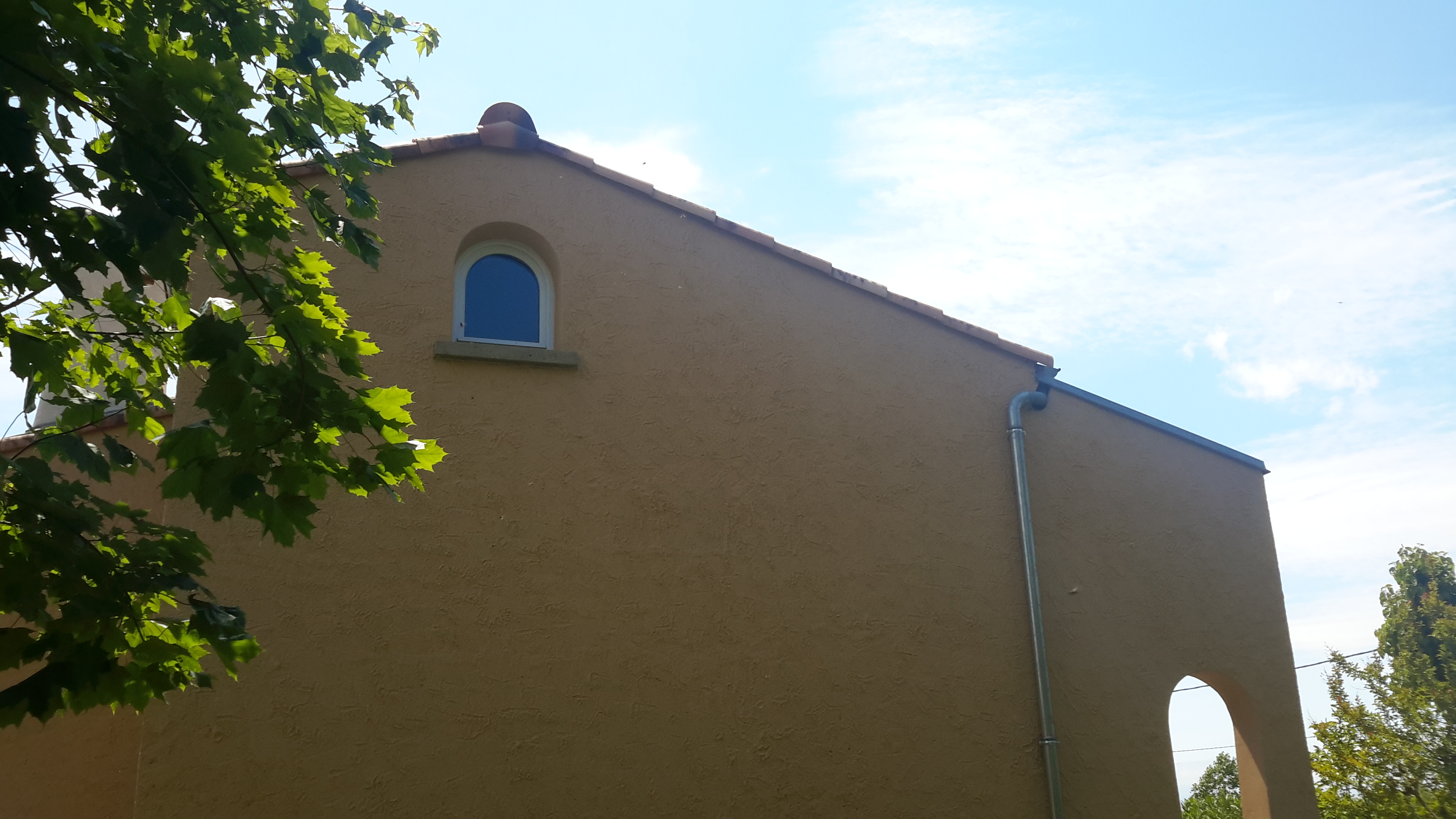pignon