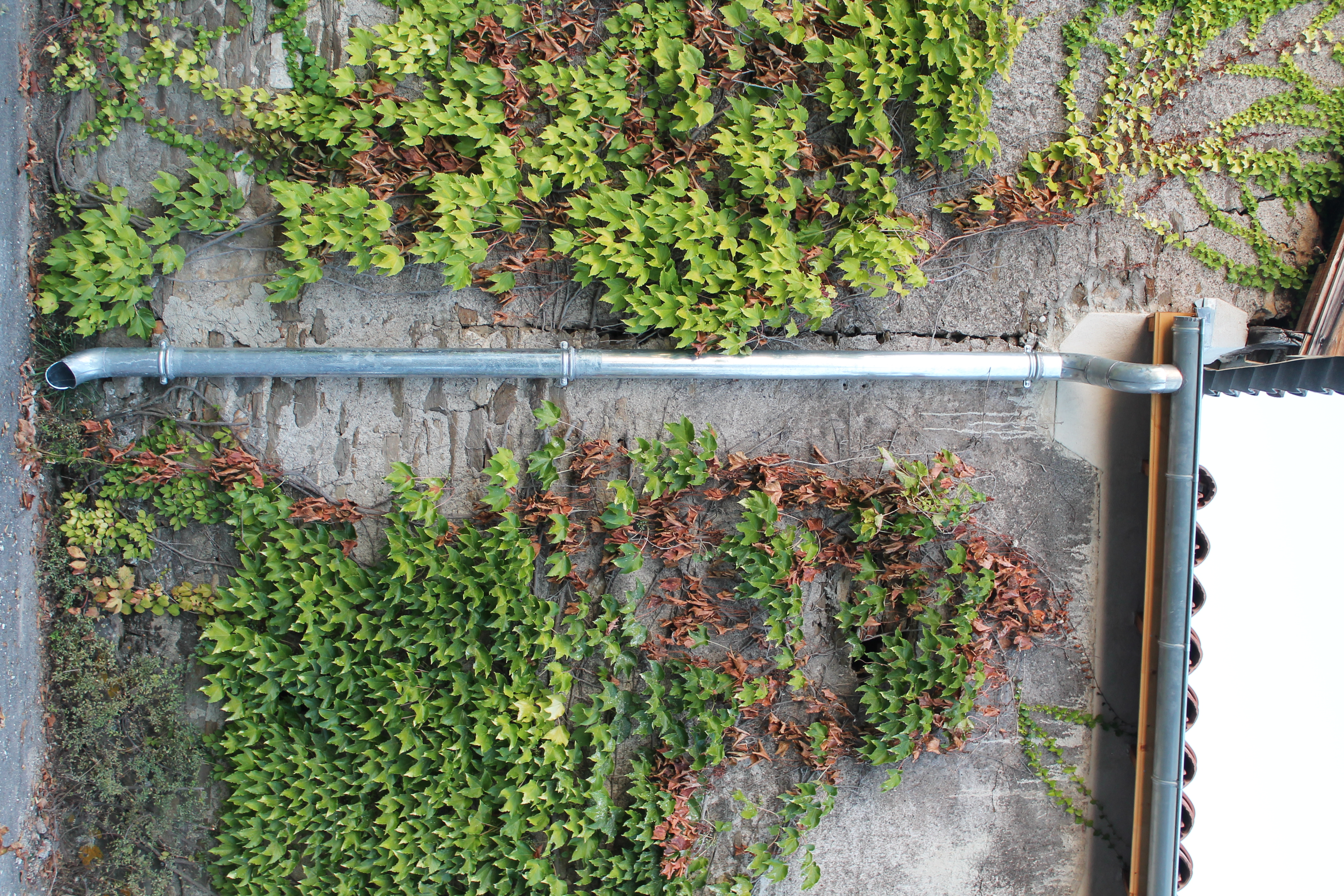 évacuation des eaux pluviales zinc