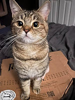 515634055_10161893064138657_226188652329