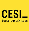 CESI ECOLE INGENIEUR.png