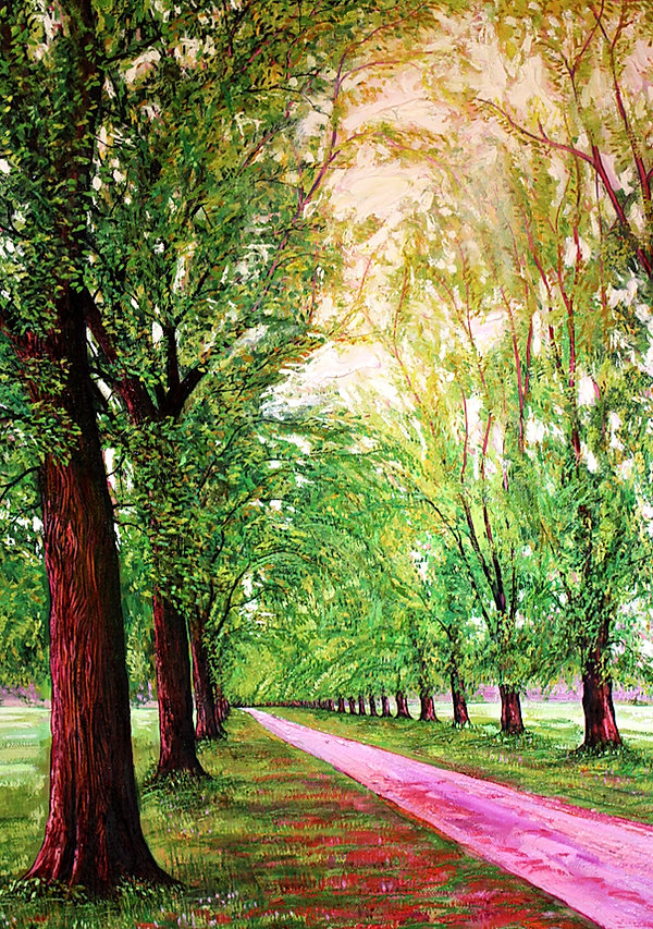 avenue of trees.jpeg