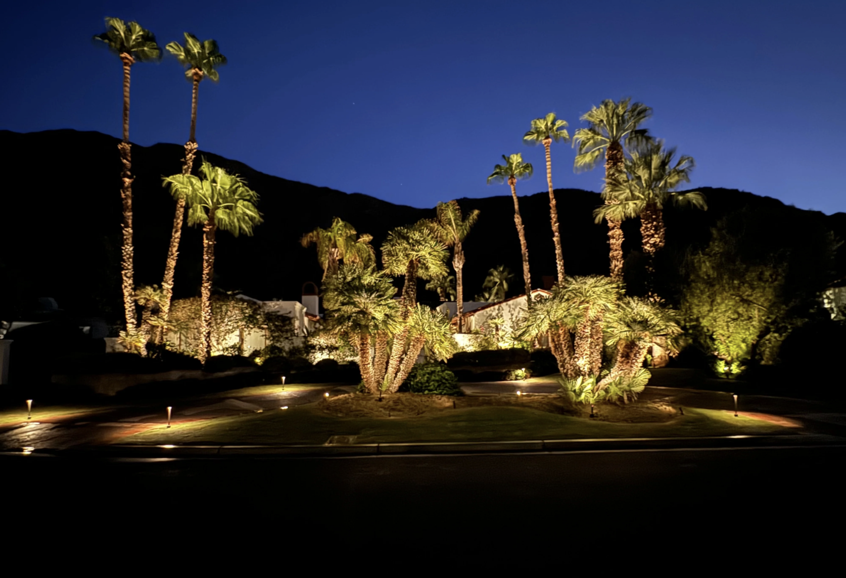 Centurion directional and path lighting in a desert residential landscape