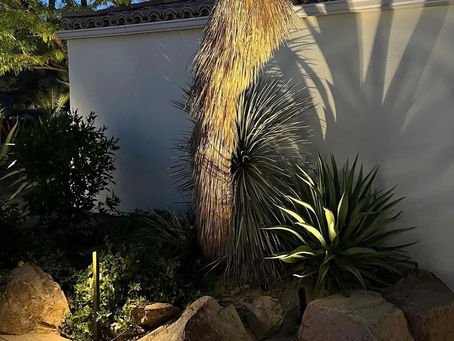 How to Choose the Right Transformer for Landscape Lighting