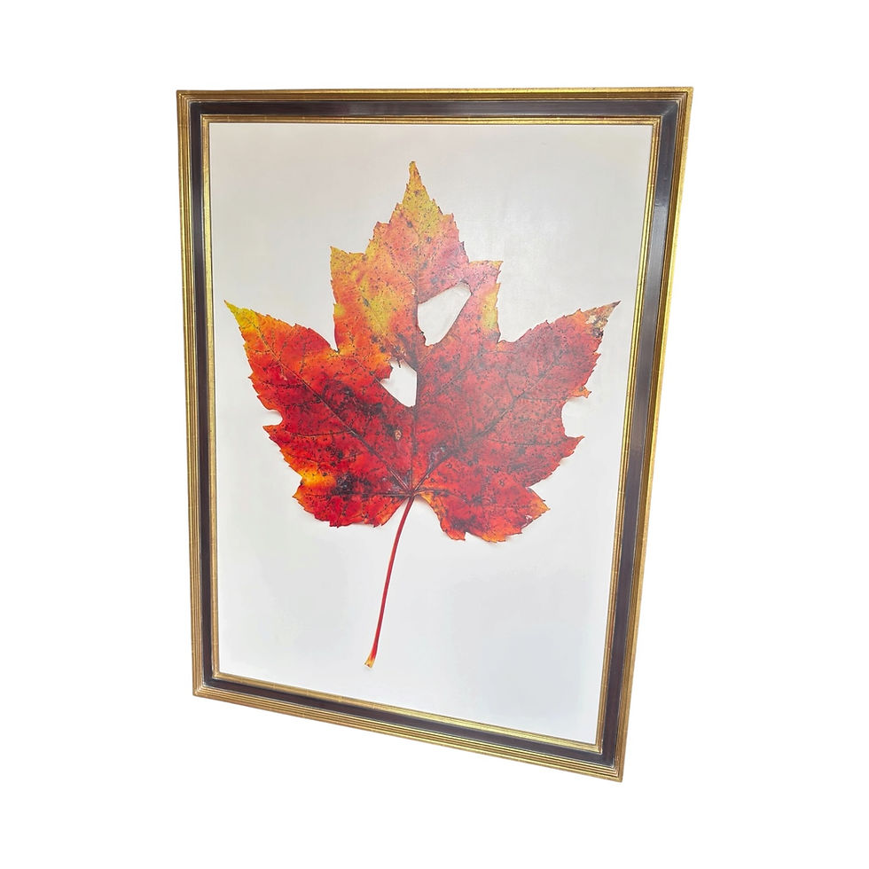Thumbnail: Large-Scale Ron Klein Realist Botanical Leaf Painting