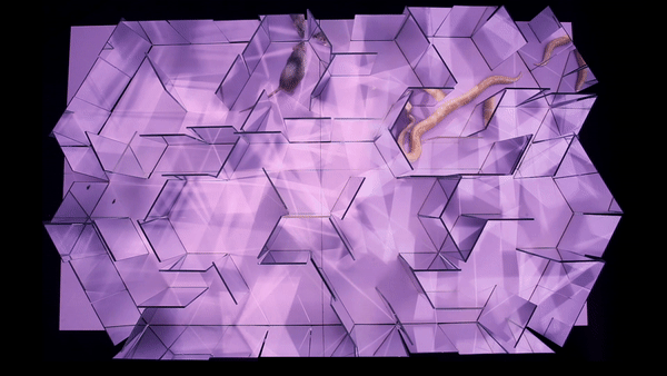 ezgif.com-video-to-gif-2.gif