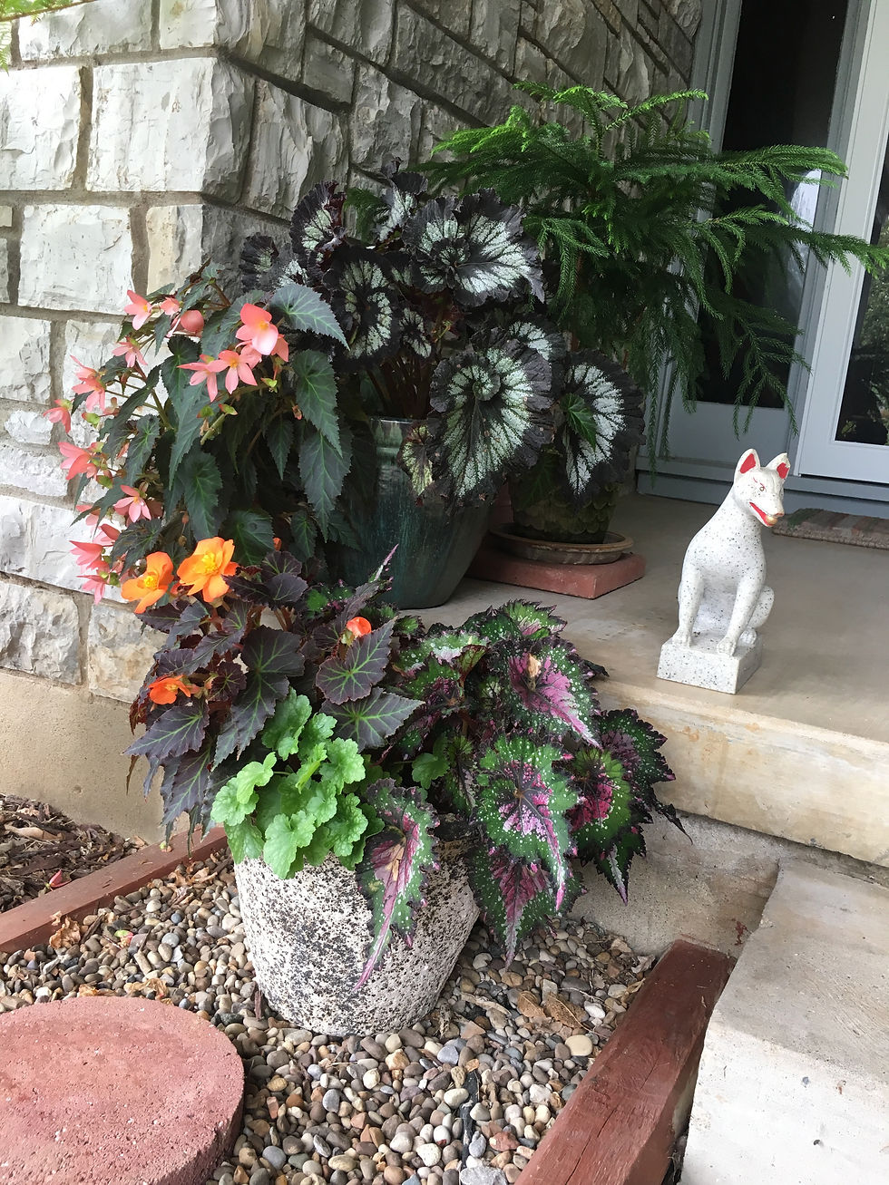 Annuals for the shade.