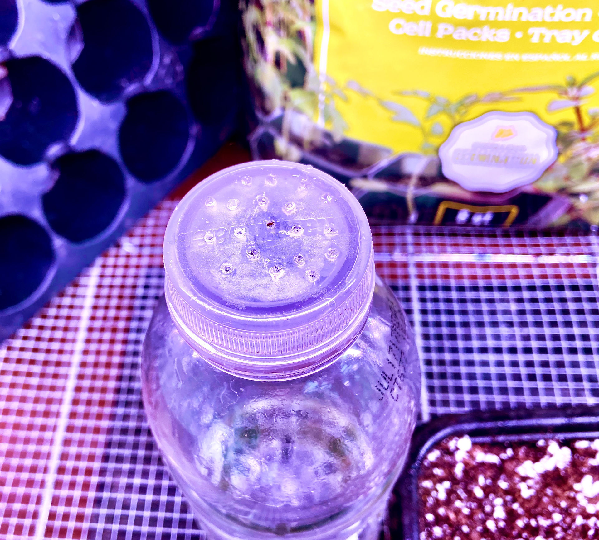 DIY Water Bottle