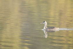 Clrmr-October07-1-6315