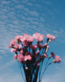 Nature-105.jpg