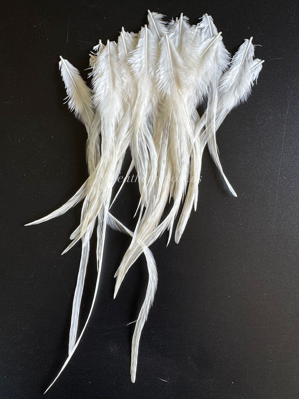 Natural Feathers Creme Variant Rooster Saddle Craft Feathers Bulk