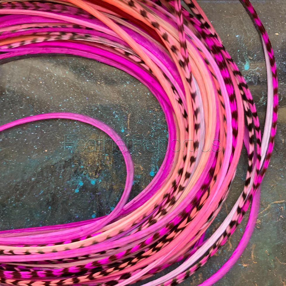 Thumbnail: Super thin pink hair feathers bulk pack 50 grizzly solid hot pink ballerina