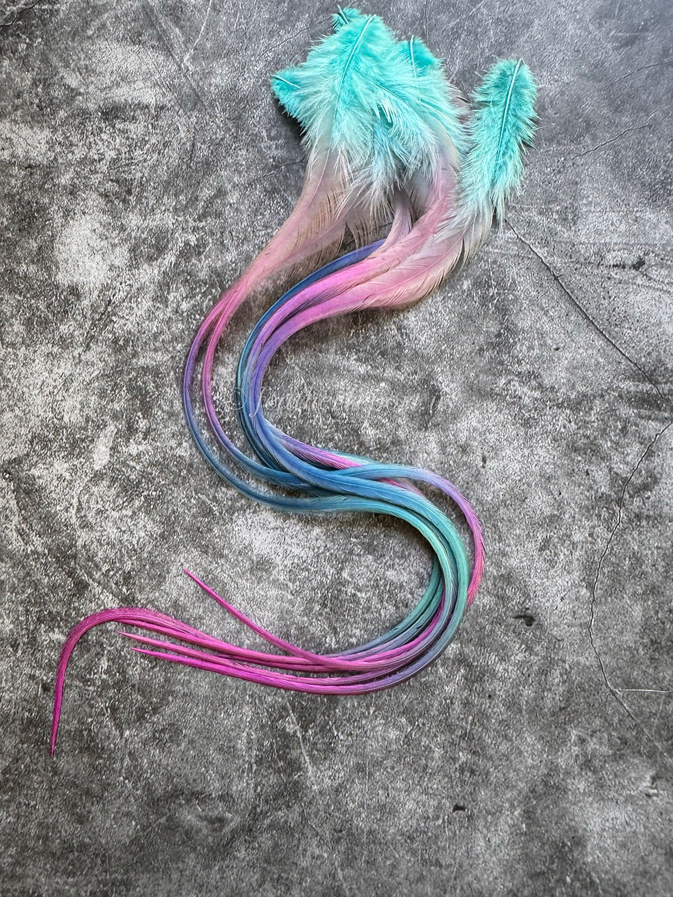 Rainbow Rooster Feathers Hair Extensions 13to20inch Long WYSIWYG