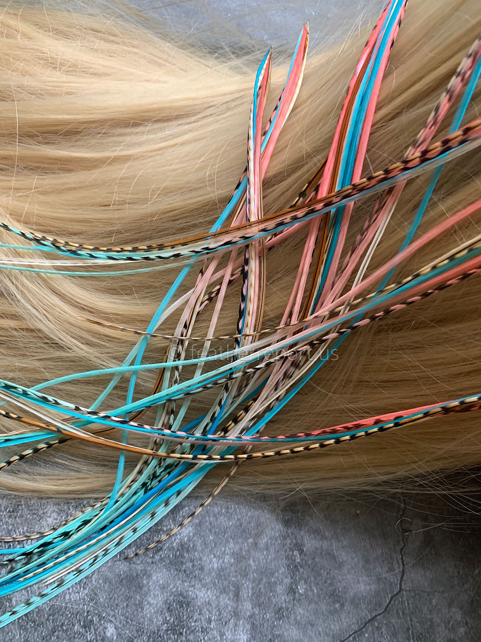 Set of 8 coral teal natural feather hair extensions bonded DIY kit with beads