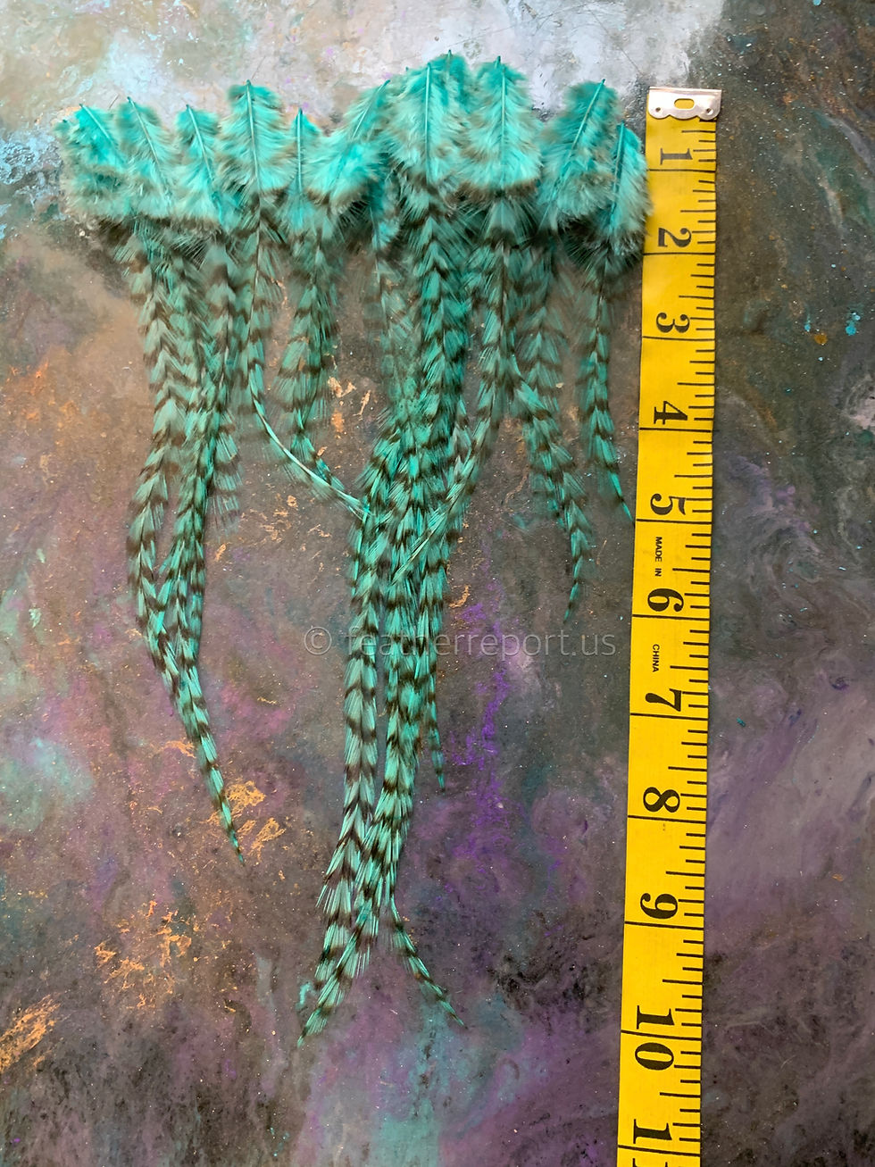 Thumbnail: Barred Aqua Tropic Feathers Rooster Craft Supplies x21