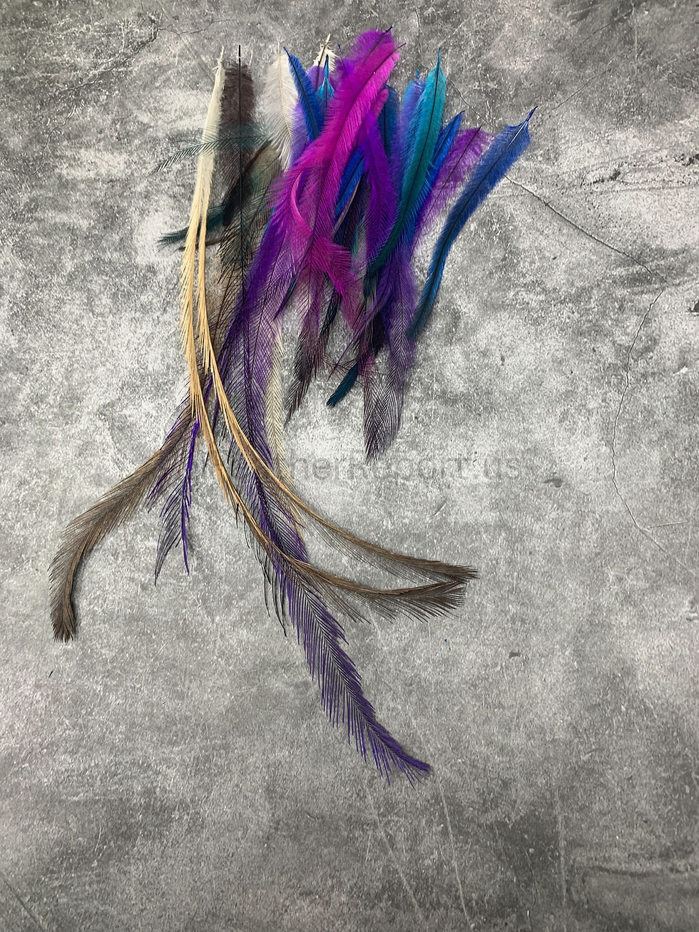 Thumbnail: Bulk Emu Feathers Naturals/Colors 2-12” 40 WYSIWYG