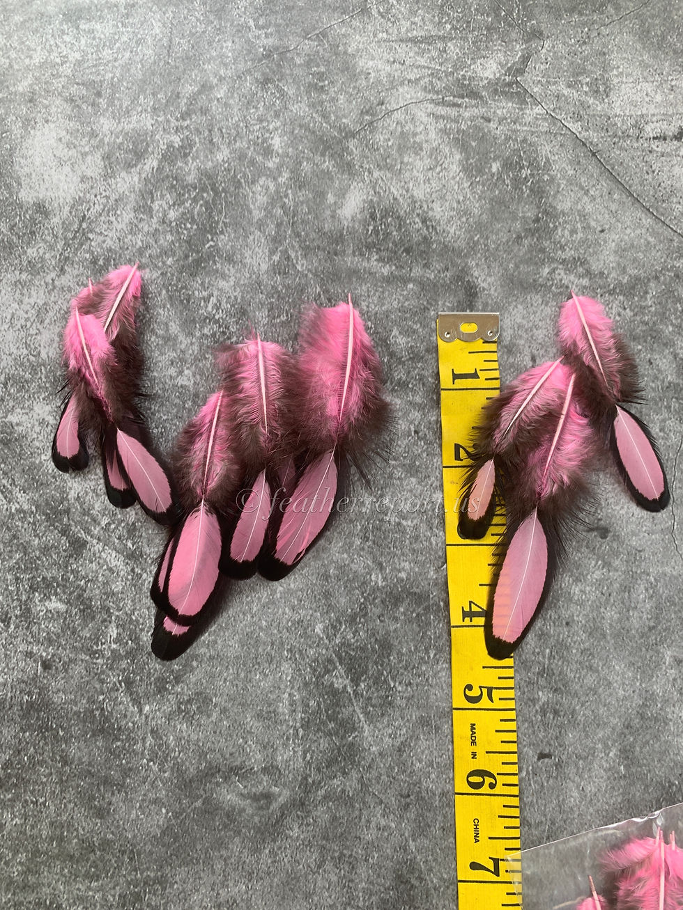 Craft Feathers Dyed Ballet Pink Small Oval Laced Hen Saddle